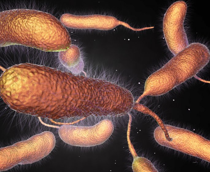 Ampute d’une jambe apres avoir contracte une grave infection lors d’une baignade