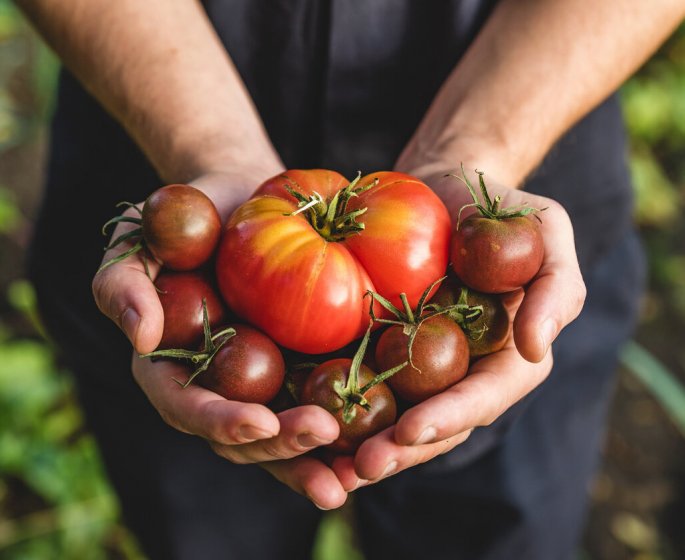 Faut-il retirer la peau des tomates ? 