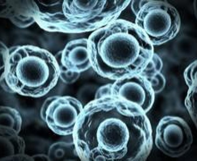 Recherche anti cancer: decouverte d-une proteine qui change tout