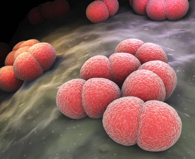 Meningite a meningocoque : comment expliquer la hausse fulgurante des cas ? 