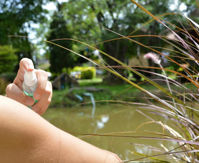 Piqures de moustiques : le top des astuces pour que ca ne gratte plus !
