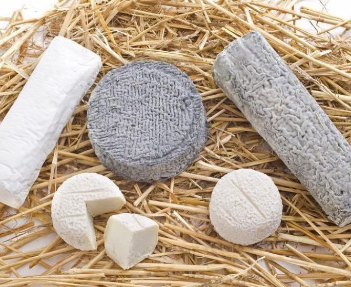 Fromage de chevre fermente : la definition