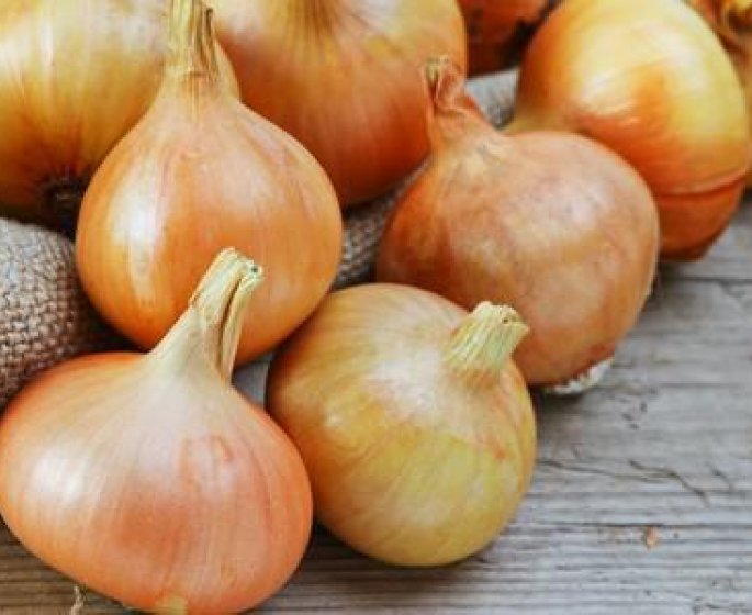 Oignons : l’endroit ou vous ne devez absolument pas les conserver