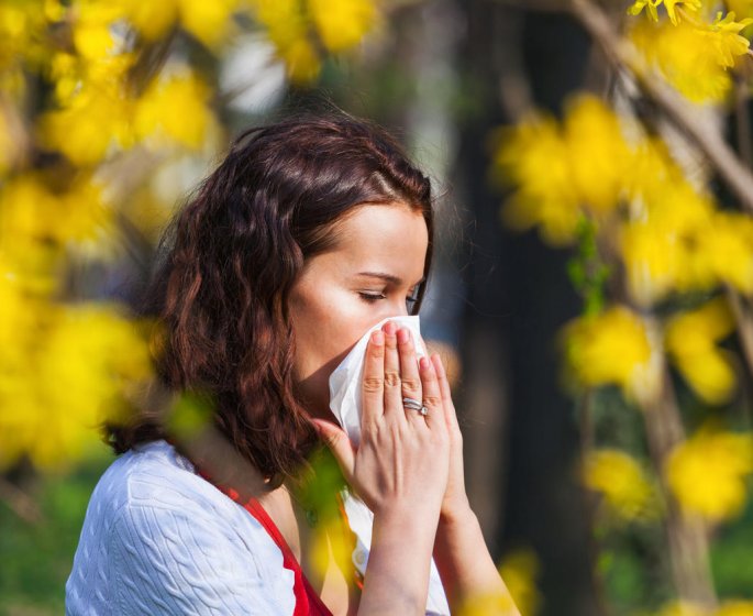 Allergies : 11 departements en alerte tres elevee