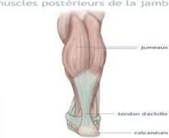 Entorse de la cheville - une blessure frequente
