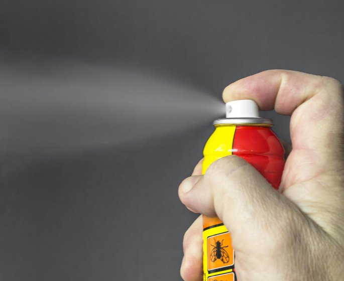 Moustiques : la ville de Toulouse traitee aux insecticides