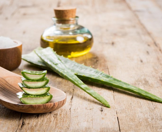 Aloe vera : des vertus fantastiques ! 