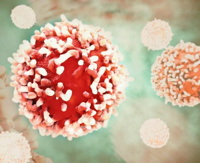 Oignon rouge : l-aliment qui reduit les tumeurs cancerigenes