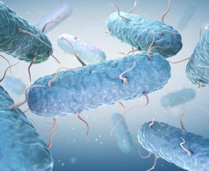 Gastro, intoxication alimentaire ou indigestion : la difference
