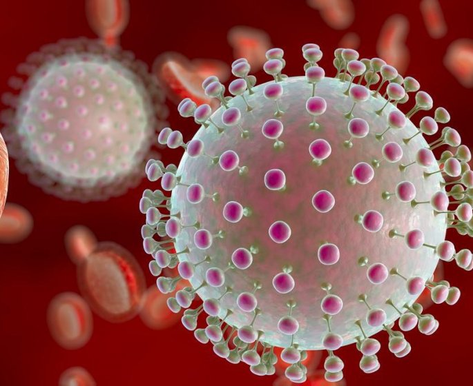 Virus Zika : qu’est-ce que le syndrome de Guillain-Barre ? 