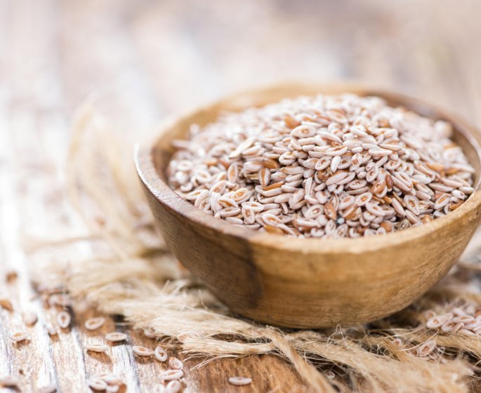 Ballonnements : le psyllium comme remede naturel