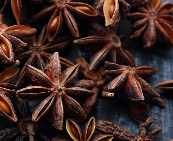 La badiane en infusion : une plante pour bien digerer