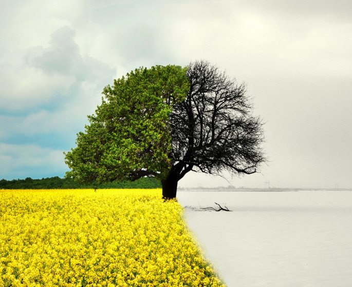 Couple : pourquoi le printemps est une saison plus propice au divorce