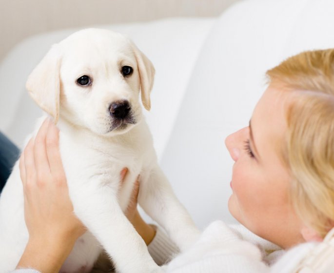 Ce que votre animal revele de votre personnalite