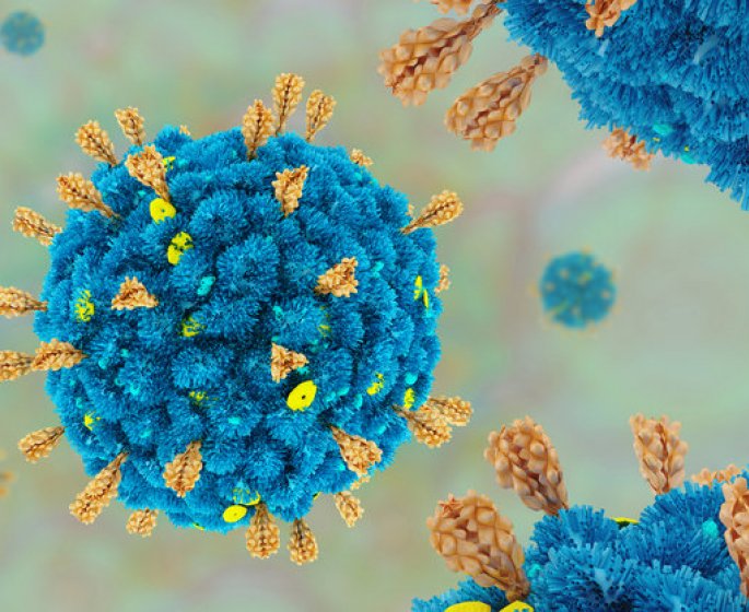 Covid, variant : des cas de co-infection inquietent les medecins