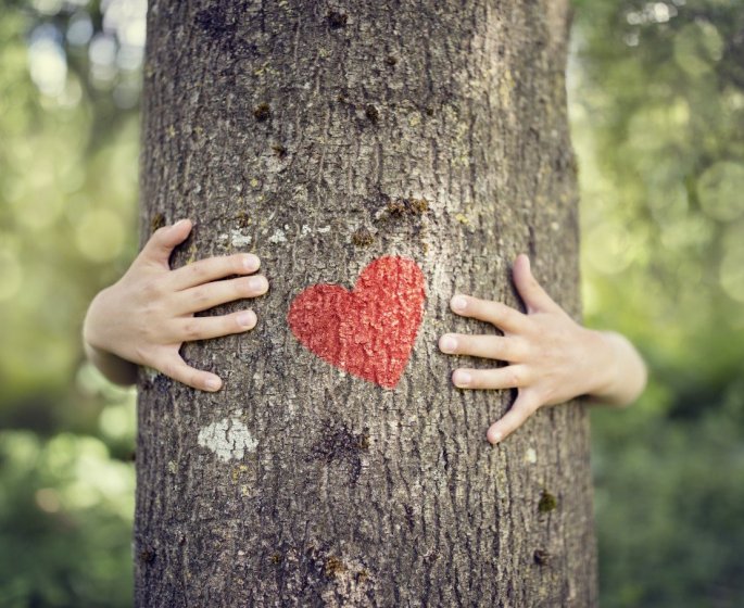  Vivre pres des arbres aide a prevenir les dommages vasculaires lies a la pollution