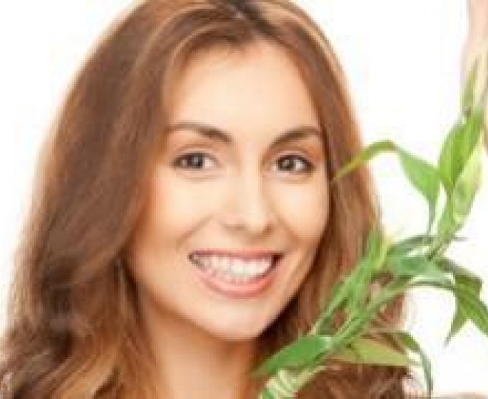 11 plantes brule-graisses