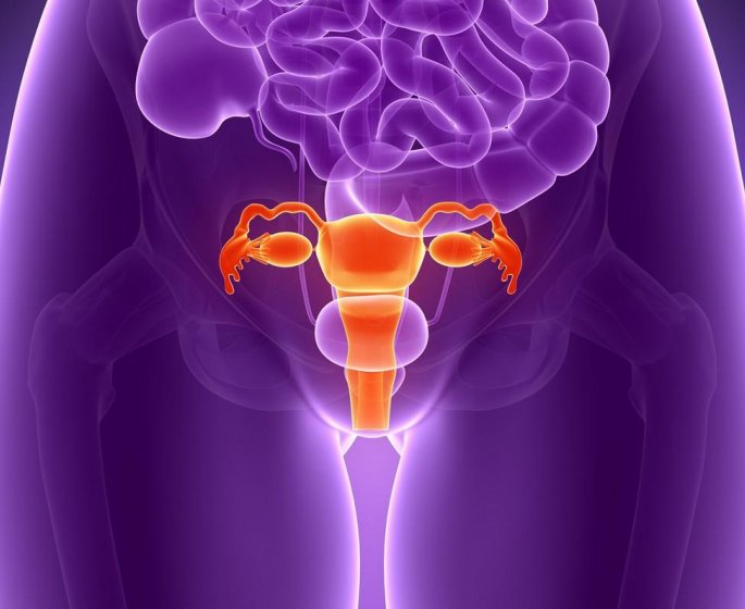 Les 9 maladies de l-uterus les plus frequentes