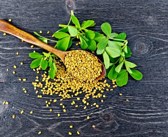 Phytotherapie : les indications du fenugrec