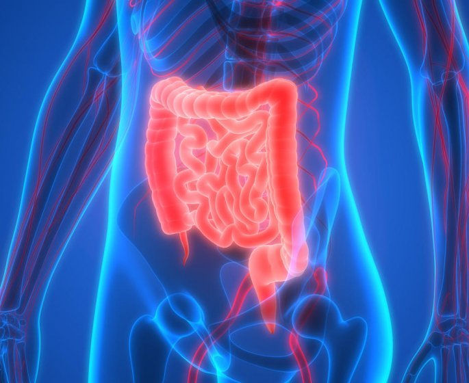 Antibiotiques : ces medicaments augmenteraient le risque de cancer du colon