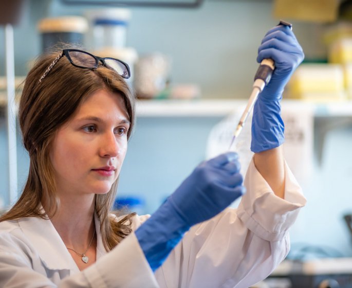Coronavirus : et si la chloroquine, traitement contre le paludisme, etait la solution ?