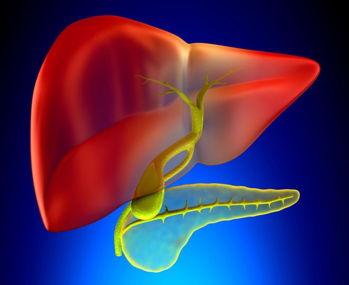 Calculs biliaires : le traitement par cholecystectomie