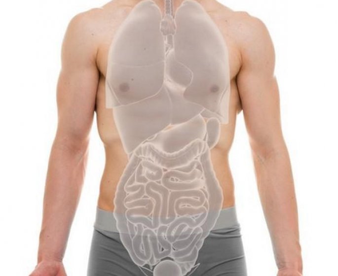Hypertrophie benigne de la prostate : le curage ganglionnaire