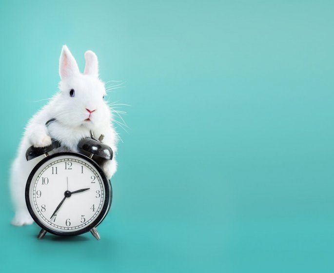 5 astuces pour avoir l’impression d’avoir plus de temps