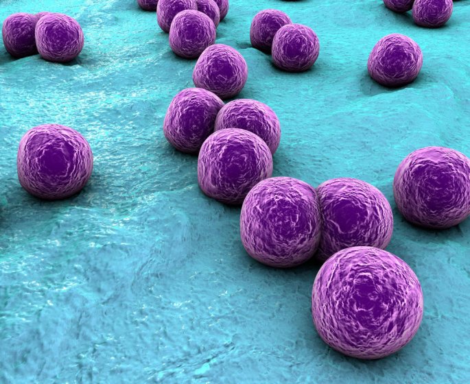 Staphylocoque dore, aureus, blanc : quels sont les symptomes et traitements ?