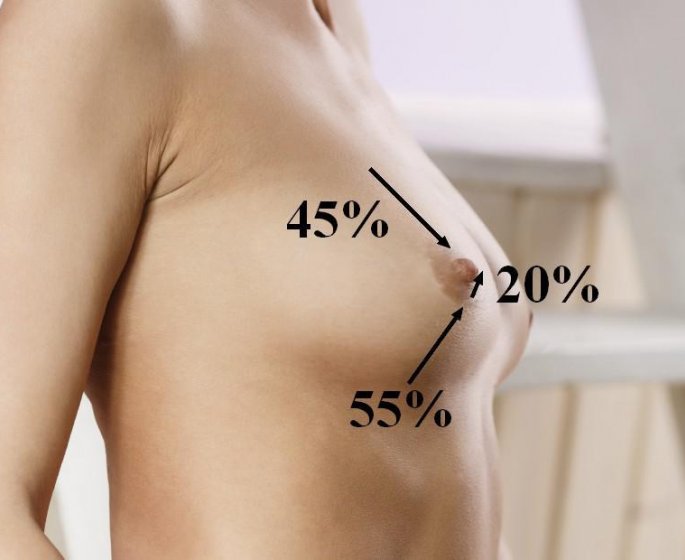 Voici les proportions d-une poitrine parfaite