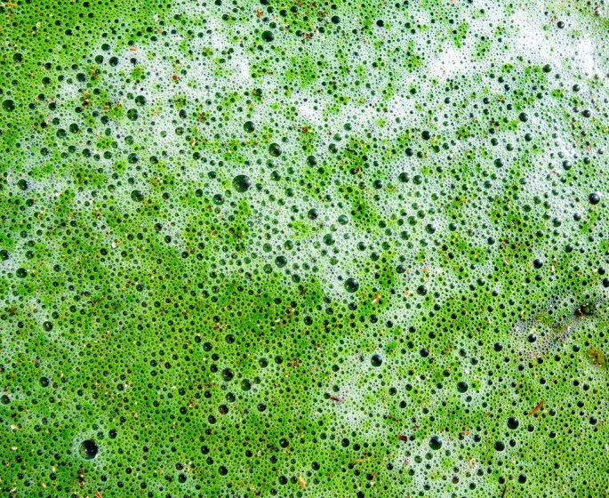 Arsenic : 7000 sites seraient contamines en France !