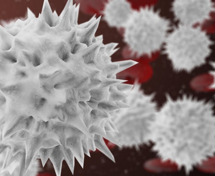 Polynucleaires eosinophiles hauts : qu-est-ce que ca veut dire ?