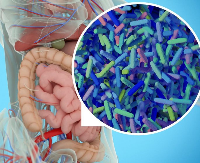 Et si nos problemes de sante venaient de nos microbiotes ?