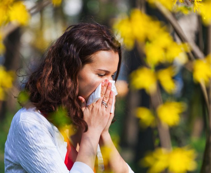 Pollens : pourquoi d-ici 2050 la moitie de votre foyer y sera certainement allergique