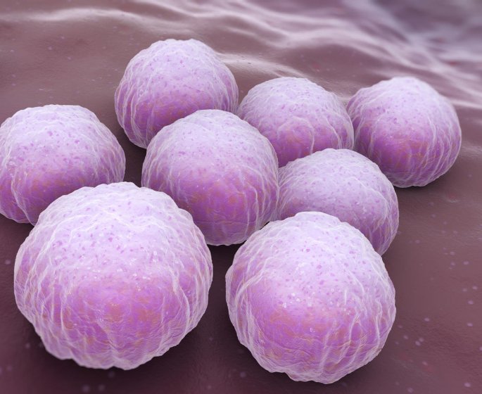 MST : quels traitements contre la chlamydia ?