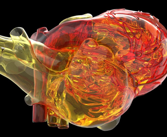 La Societe Francaise de cardiologie valide ce coeur artificiel, une solution innovante pour les insuffisants cardiaques