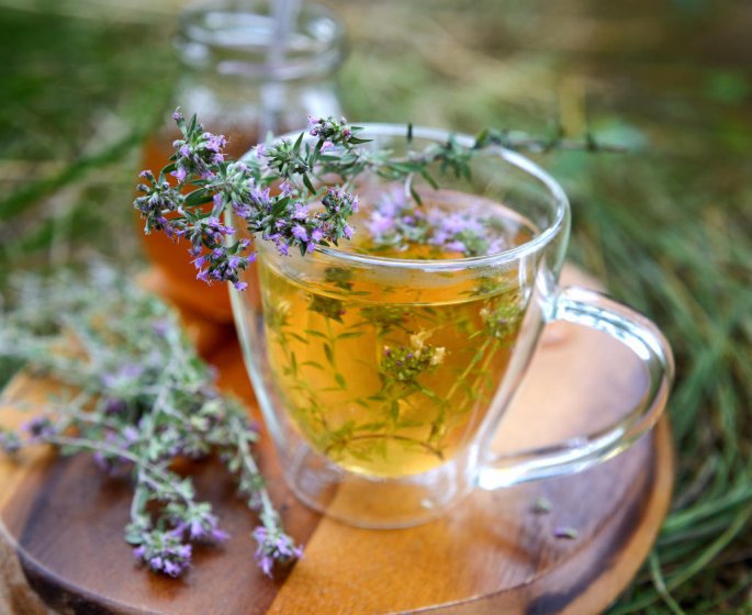 Tisane de thym : une infusion anti-flatulences