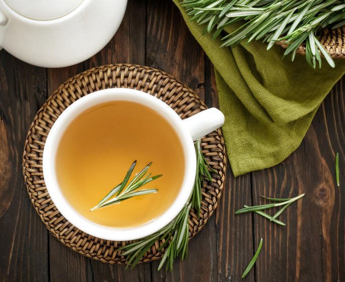 Tisane amincissante : essayez le romarin pour maigrir