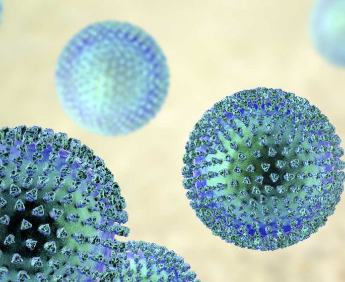 Sclerose en plaques : le virus de la mononucleose en cause