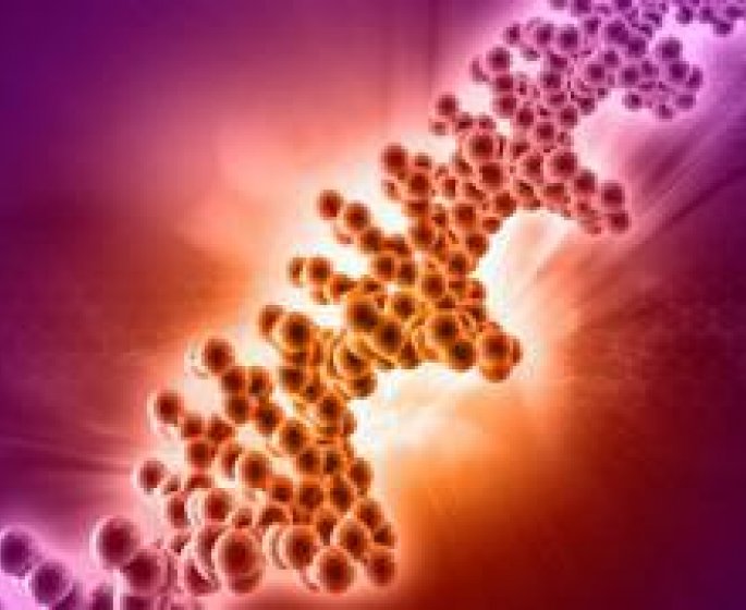 Le diabete predisposerait a la maladie d-Alzheimer