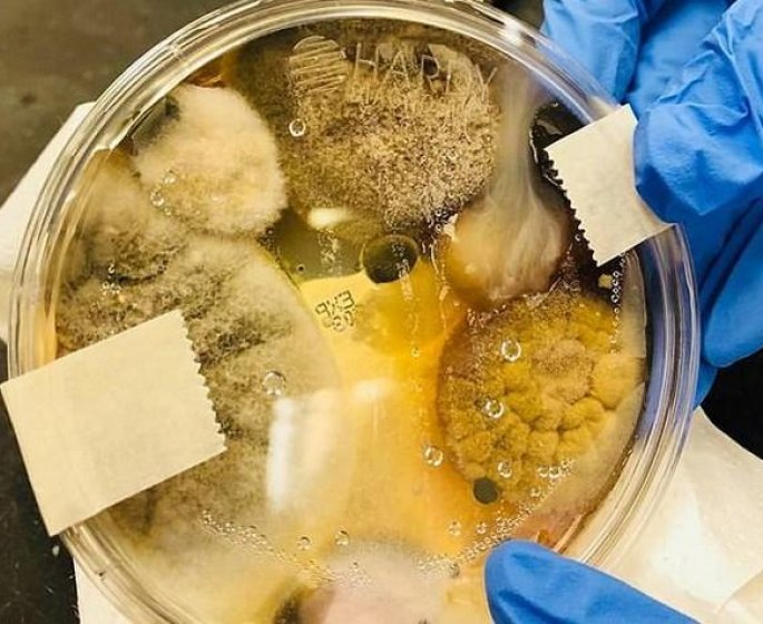 Seche-main : l’objet a bannir des salles de bain car il regorge de bacteries