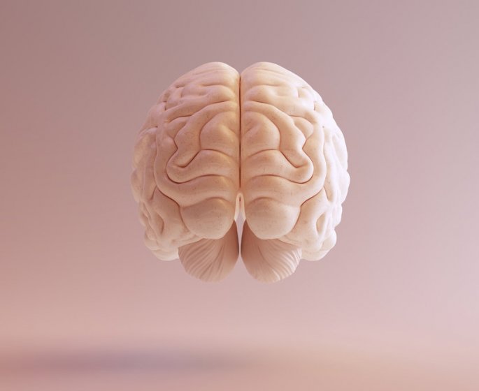 Deficience intellectuelle : quels sont les symptomes revelateurs ?