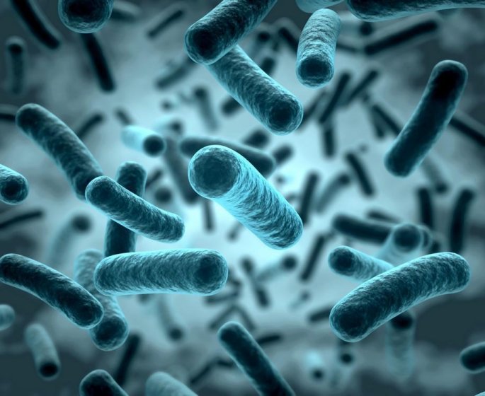 Cette bacterie qui permet de ne plus avoir faim