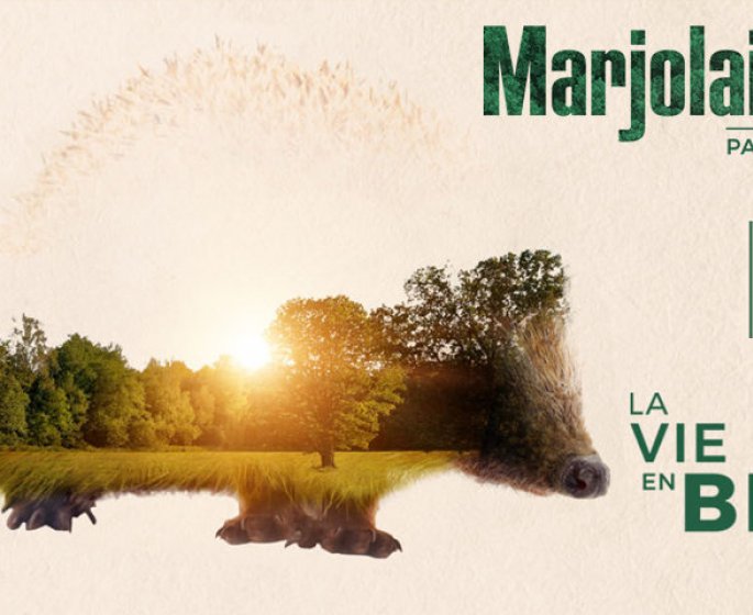 Salon Marjolaine : rendez-vous du 5 au 13 novembre 2022 au Parc Floral de Paris