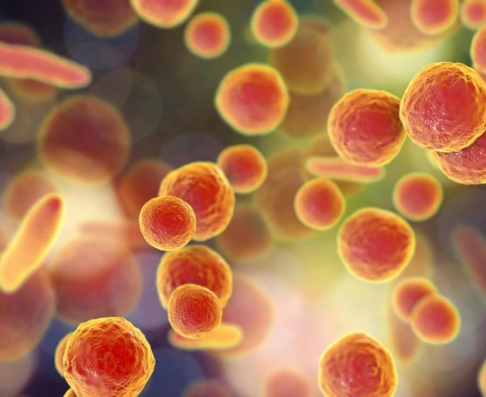 Deux villes particulierement touchees par la tuberculose en france