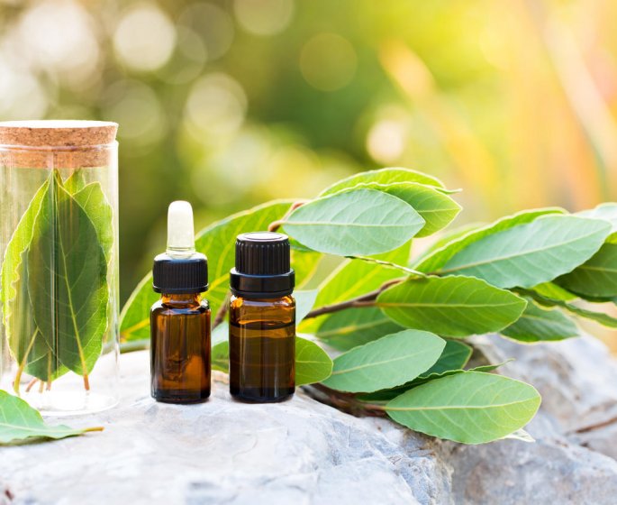 Inflammation des articulations : l-huile essentielle de laurier comme remede