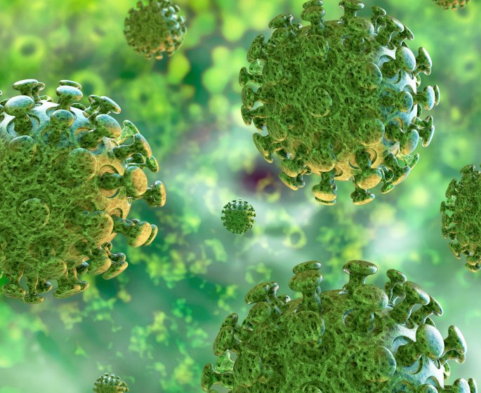 Grippe, Rhino, gastro... : comment prevenir et soigner ces maladies de l-hiver ?
