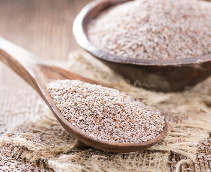 Plantes medicinales : qu-est-ce que le psyllium blond ?