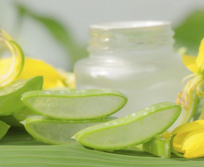 Urticaire : les traitements par les plantes