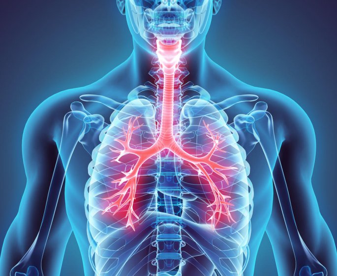 Crise d-asthme allergique : que faire ?